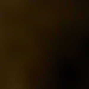 Meet your Posher, Summer